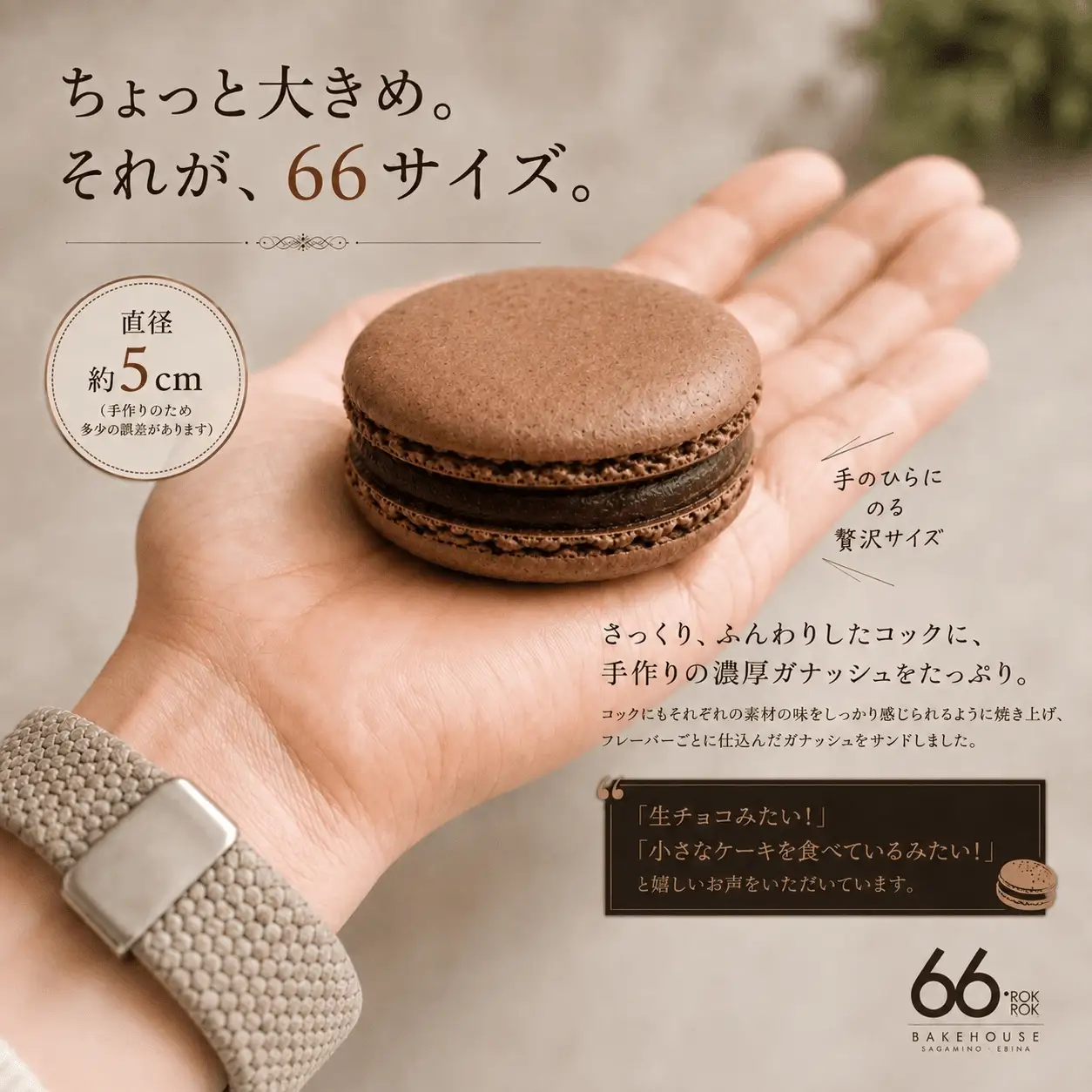 マカロン BOX 大きめ 6個入 まかろん