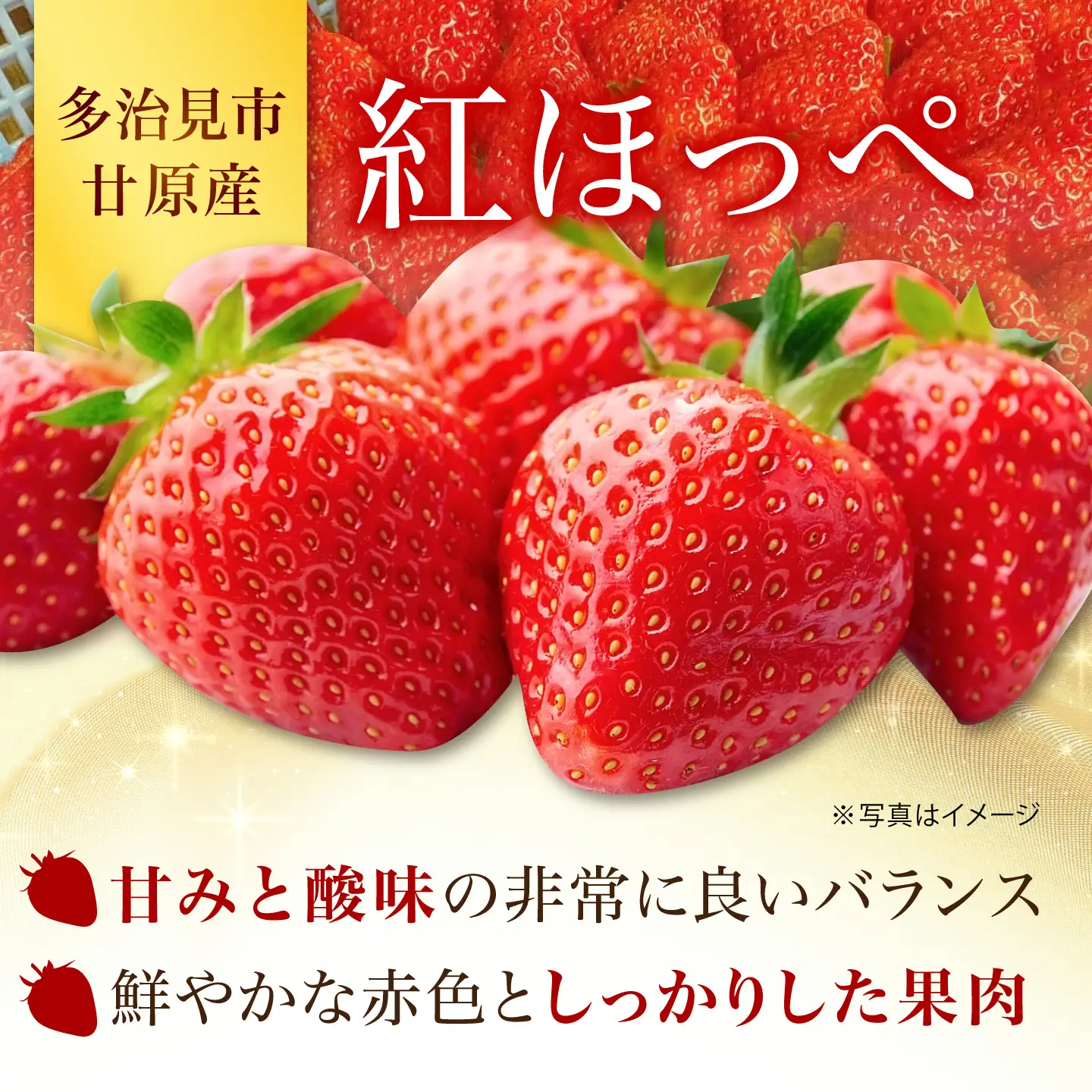 瞬間冷凍いちご [TCI005] いちご
