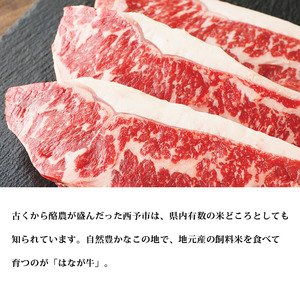 熟成肉はなが牛 サーロインステーキ UYB0006