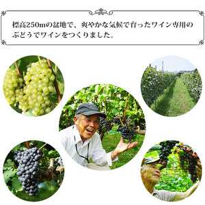 光ワイン（「赤」「ロゼ」各1本セット） UHN0005