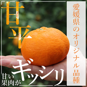 ＜愛媛県西予市産 甘平 約4kg＞ フルーツ 果物 柑橘 かんぺい みかん ミカン 蜜柑 贈答用 化粧箱 ギフト対応 南予園芸 特産品 愛媛県 西予市 【常温】『2026年2月上旬～3月下旬迄に順次出荷予定』UNE0008
