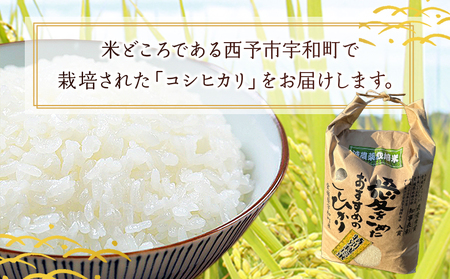 ＜令和7年産 西予市宇和町産 特別栽培米コシヒカリ 10kg＞ お米 コメ こめ 白米 精米 ご飯 白飯 ごはん ライス 穀物 こしひかり コシヒカリ 朝食 低農薬 特産品 愛媛県産 西予市産 宇和町産 三好フク 愛媛県 西予市 【常温】『1か月以内に順次出荷予定』UMH0003