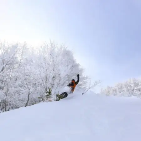 やぶはら高原スキー場 大人シーズン券 引換券【1516844】