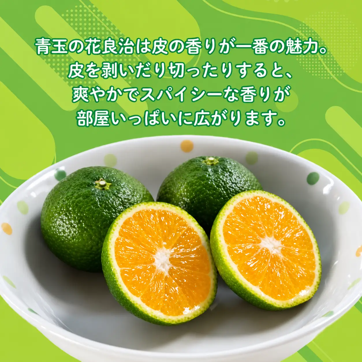 みかん 花良治みかん 青玉 3kg
