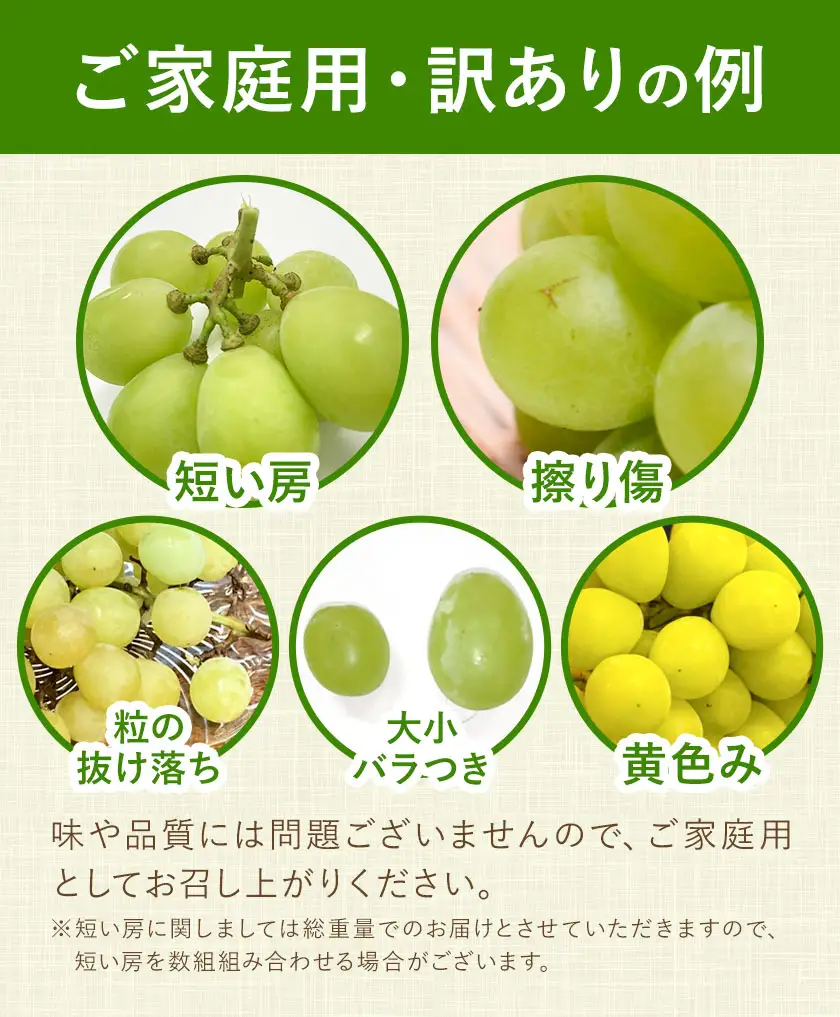 訳あり 種なし シャインマスカット 1kg (2～3房) 小林農園