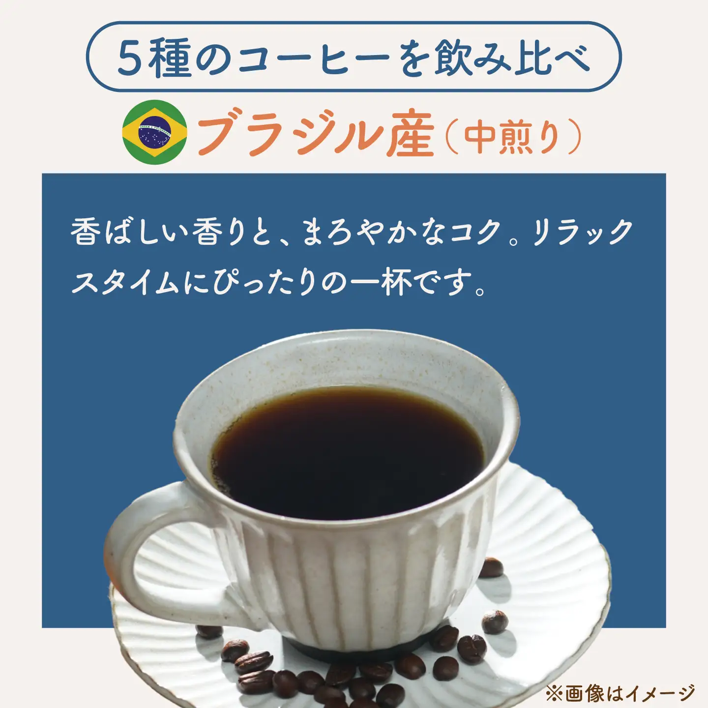 コーヒードリップバッグセット5個【THE FIVE☆BEANS】[ASCS004]
