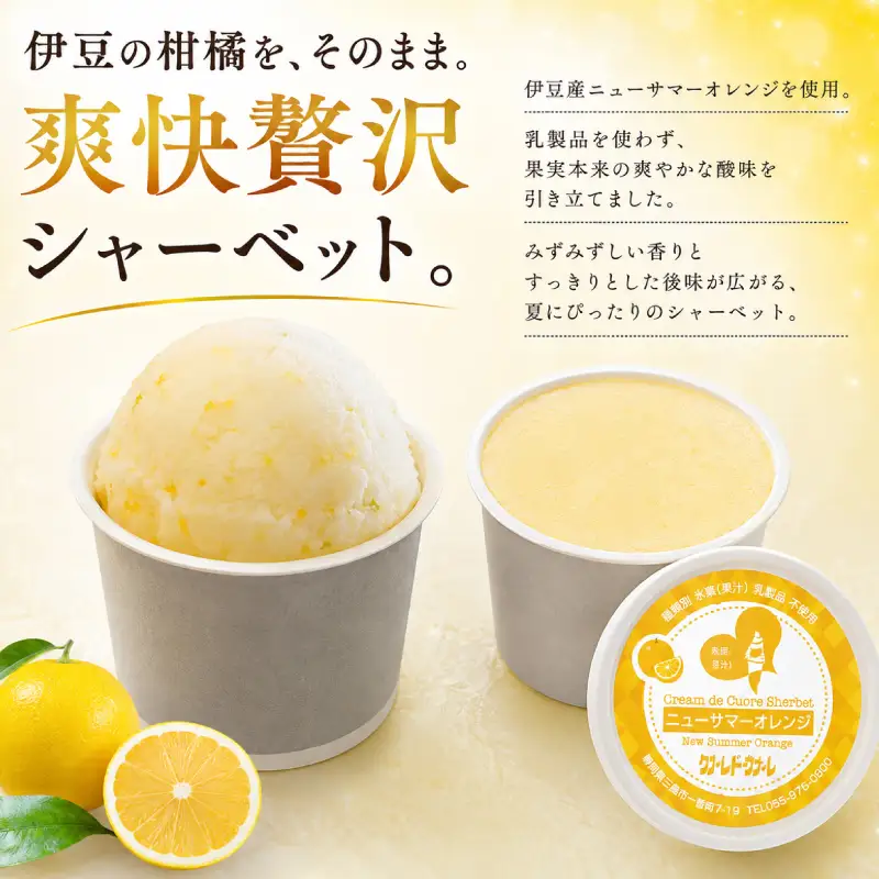 ニューサマーオレンジ ジェラート 4個 オレンジ