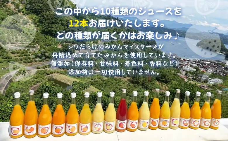 ＜一歩会 ジュエリーボックス ジュース飲み比べセット 720ml×12本入り（果汁100%ストレートジュース）愛媛 みかん＞ ミカン 柑橘 果物 フルーツ 特産品 渡江から一歩を踏み出す会 飲んで応援 愛媛県 西予市【常温】『令和8年5月より順次発送』ATI0028