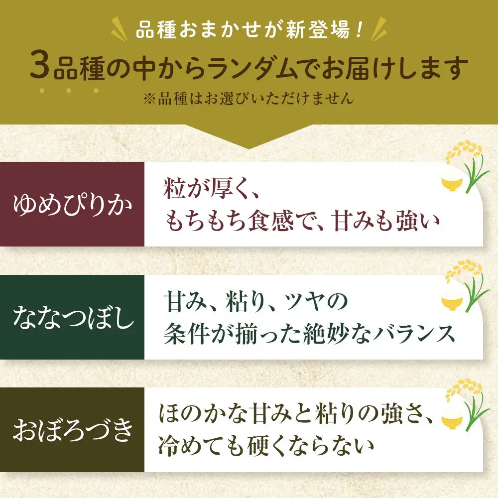 令和8年産 品種おまかせ 無洗米 真空パック 5kg×4袋（合計20kg）_06600