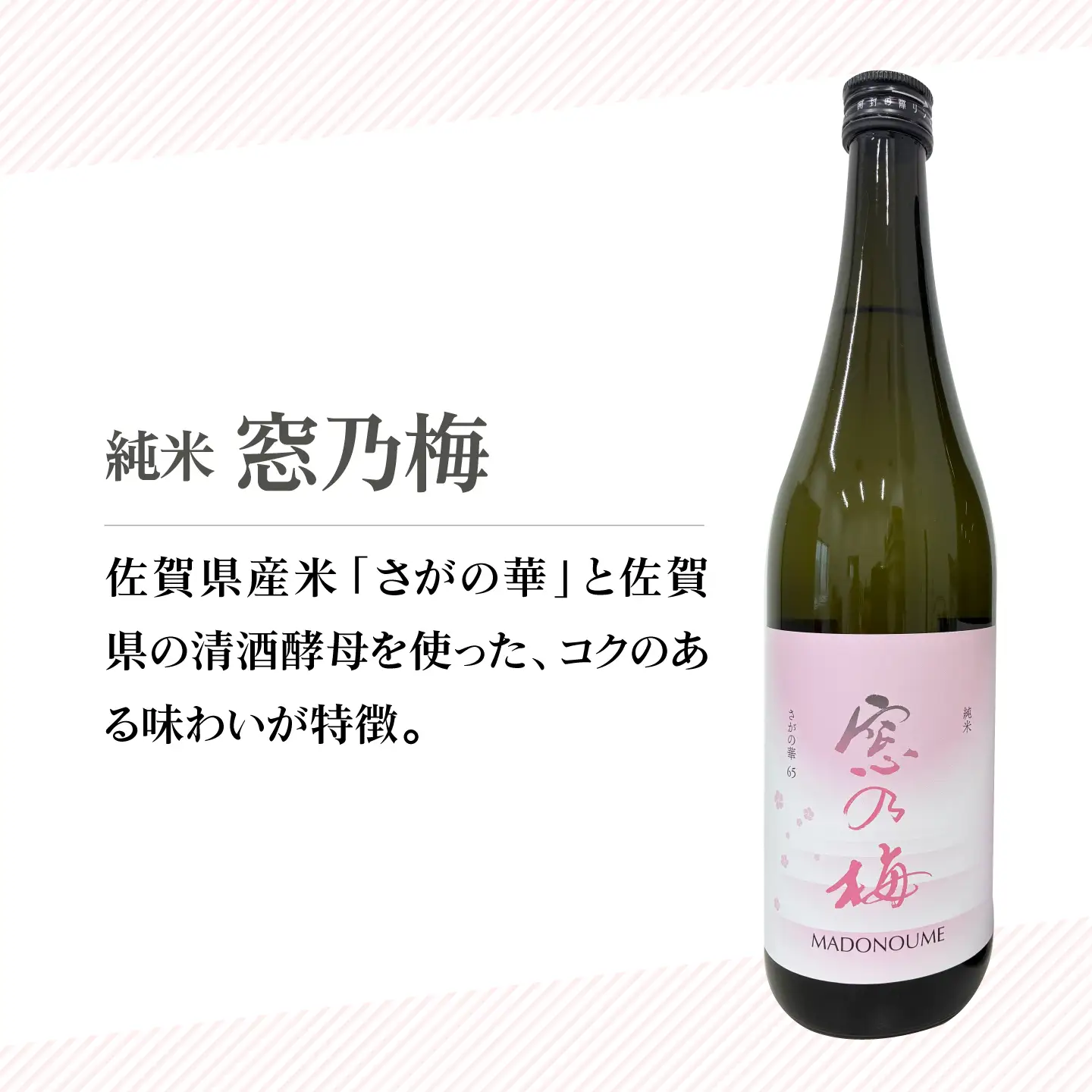 窓乃梅 純米 720ml×2本 【白木酒店】 日本酒 純米酒 四合瓶[HAQ049]