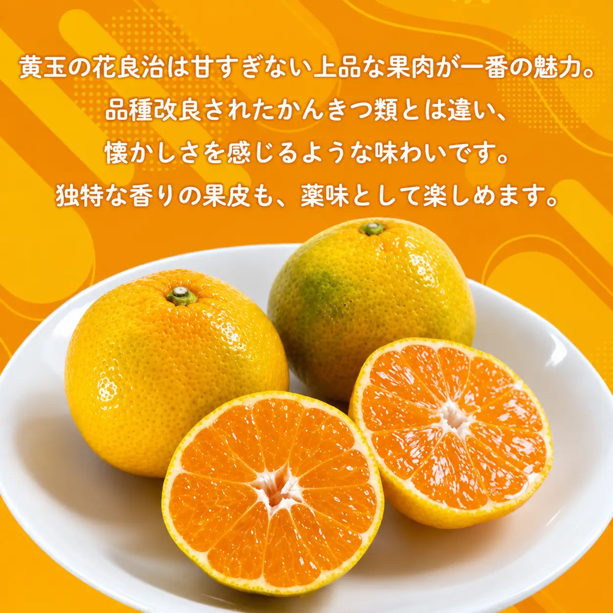 みかん 花良治みかん 黄玉 3kg