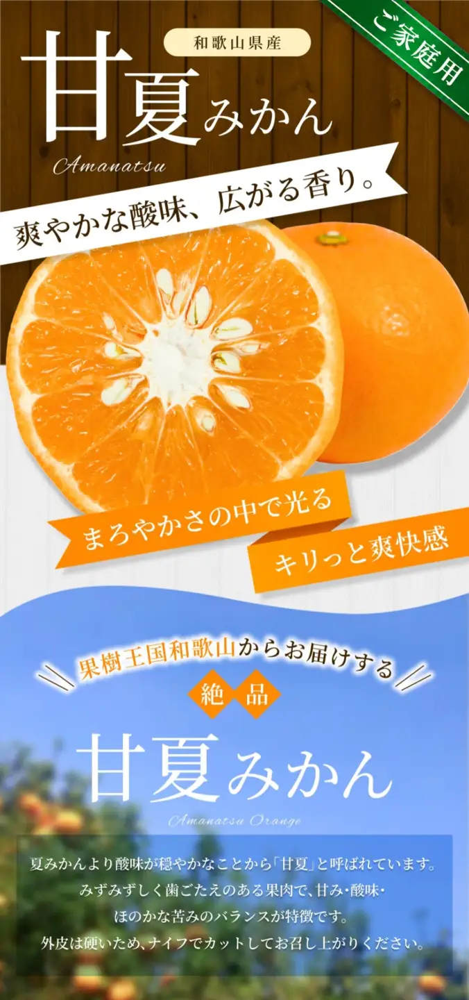 【家庭用】 森本農園の手選別 甘夏みかん 約1.5kg 和歌山県産 サイズ混合 【北海道・沖縄・離島配送不可】【2027年4月上旬～5月中旬頃に順次発送】【BV-mrmt139】