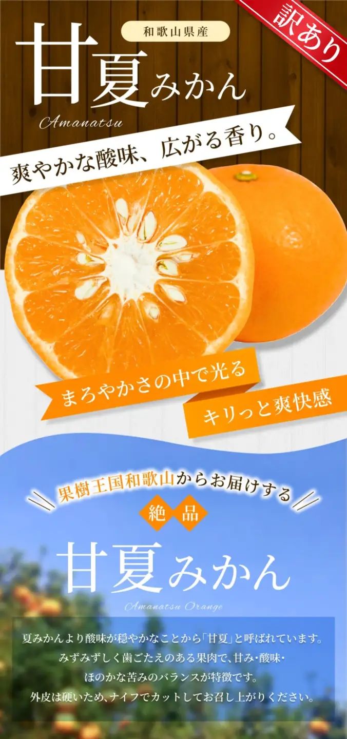【訳あり】 森本農園の手選別 甘夏みかん 約6kg 和歌山県産 サイズ混合 【北海道・沖縄・離島配送不可】【2027年4月上旬～5月中旬頃に順次発送】【BV-mrmt144】
