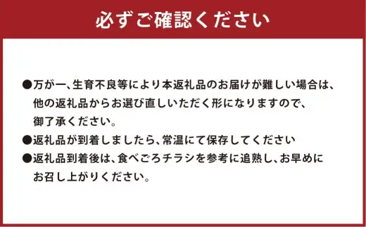 赤玉レノンスター  2玉 【2026年11月上旬から12月上旬発送予定】  メロン フルーツ くだもの 果物 熊本県産 国産