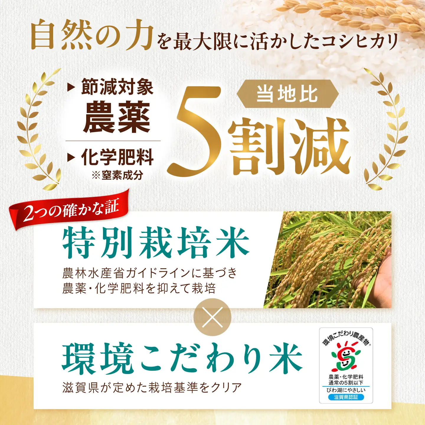 玄米 特別栽培米コシヒカリ3kg[AQEB004] 玄米