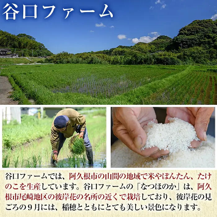 鹿児島県産のお米 なつほのか(計10kg・5kg×2袋) 国産 白米 自社精米 ご飯 おこめ おにぎり お弁当 【谷口ファーム】akn064-20