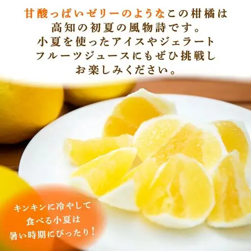 【2027年出荷分】 訳あり 熟成 露地小夏 5kg 5月中旬発送開始
