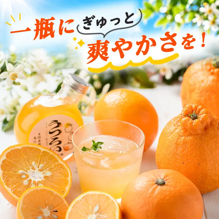 三柑シロップ (180ml×2本) 国産 檸檬 果実 果物 フルーツ 柑橘 デザート お菓子作り 常温配送 ドリンク シロップ 果汁 アレンジ レモネード ソーダ割 紅不知火 紅甘夏 【桐野柑橘株式会社】akn070-23