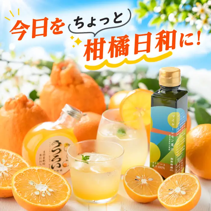 三柑シロップ・マイヤーレモン果汁 (各1本) 国産 檸檬 果実 果物 フルーツ 柑橘 デザート お菓子作り 常温配送 ドリンク シロップ 果汁 アレンジ レモネード ソーダ割 果汁100％ 紅不知火 紅甘夏 【桐野柑橘株式会社】akn070-25