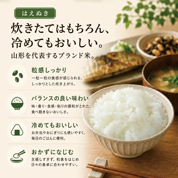 SZ0423　【令和8年産 ★ 新米】 はえぬき【精米】　5kg×1袋　「農家直送」 IN