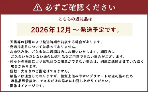 りんご サンふじ 約5kg ( 18個入 ) 【2026年12月上旬より順次発送予定】｜ りんご リンゴ 林檎 果物 フルーツ サンふじ