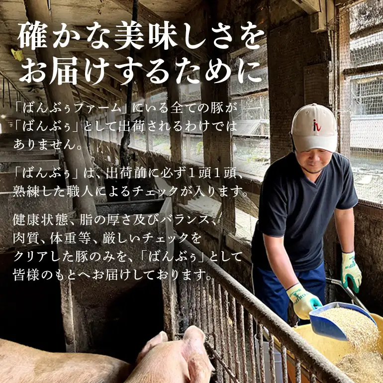 【定期便2ヶ月】ブランド豚「ばんぶぅ」豚バラブロック1kg 42-BP