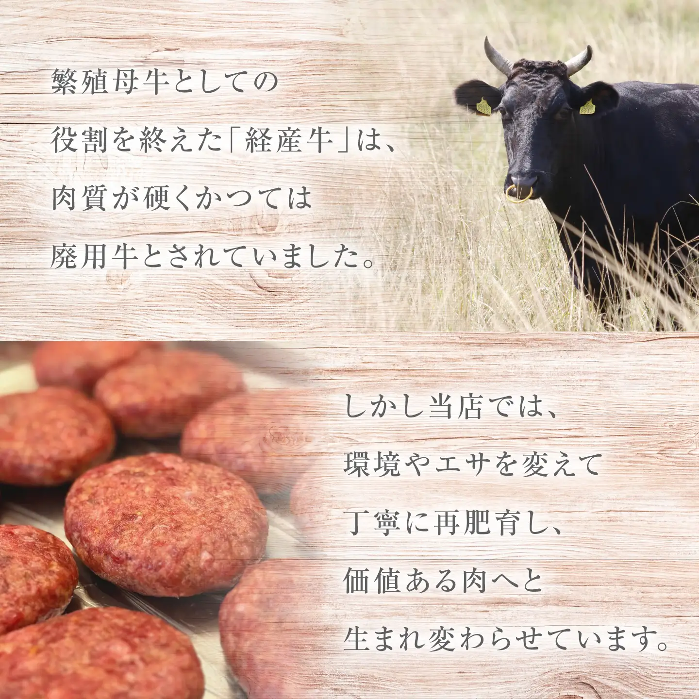 黒毛和牛 ハンバーグ 100g×6個 [CFD025]