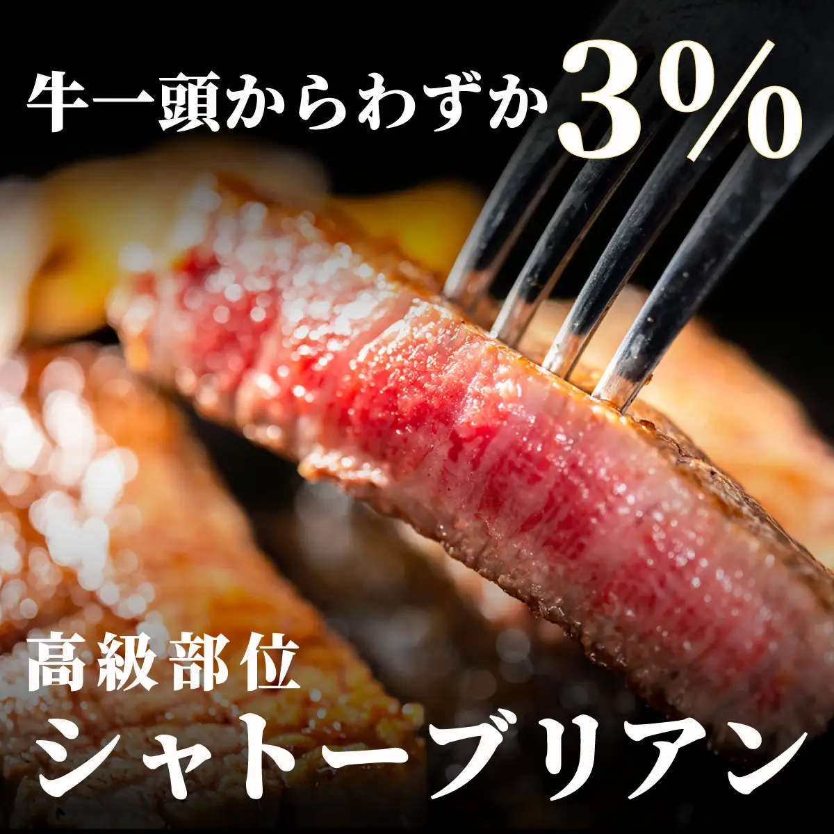＜2回定期便＞【博多和牛】ヒレ シャトーブリアン 200g×1枚 (ダイヤモンドカットで希少部位を堪能)【HD042】