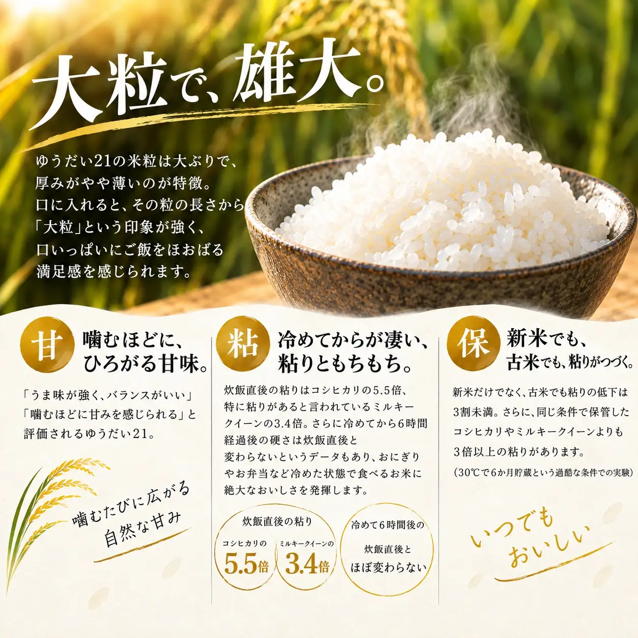 令和8年産 新米 茨城県産 ゆうだい21 5㎏ 精米 