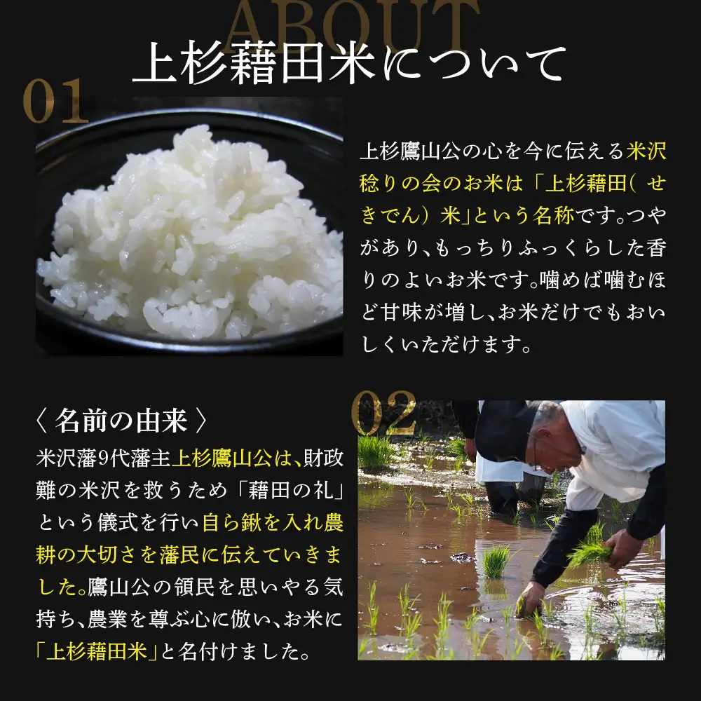 【先行予約】令和8年産 雪若丸 5kg ( 5kg × 1袋 )