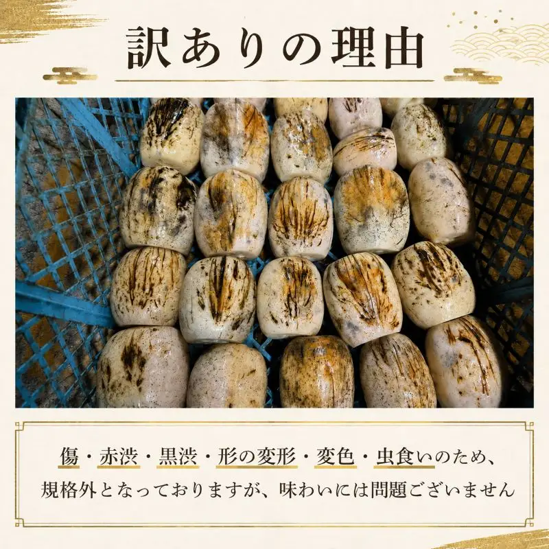 れんこん 訳あり シャキシャキ レンコン 真空パック 小分け | 【れんこん】krn015_X2