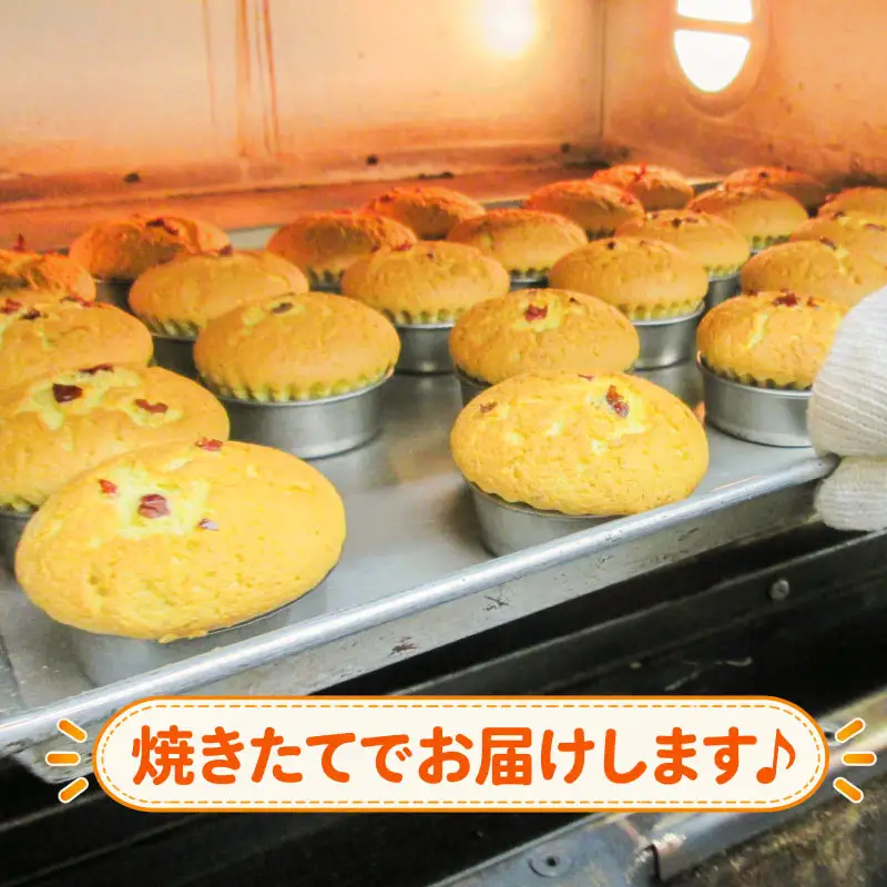 きなこカップケーキ 5個セット 八幡 京都