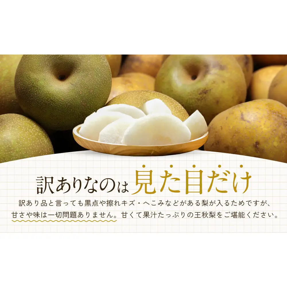 訳あり 数量限定 鳥取県産 王秋梨（おうしゅうなし） 約5kg （7～15玉）≪2026年11月中旬頃出荷≫ 【鳥取県 境港市】