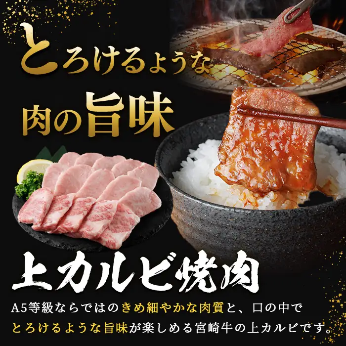 新鮮チルド便 宮崎牛 A5 上カルビ(計900g・300g×3P) 焼肉 カルビ 焼肉 和牛 BBQ アウトドア キャンプ 小分け パック 真空パック ブランド牛 ランク パーティー ご褒美 おかず【OT-03】【KNOT合同会社】