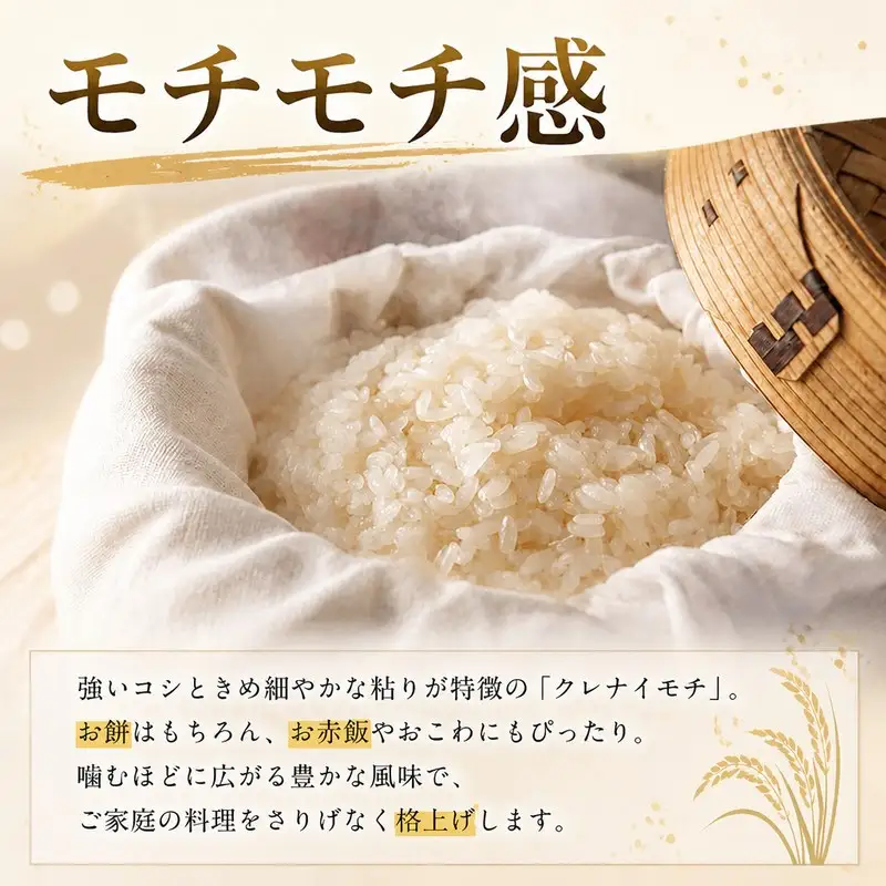 もち米 5kg 令和7年産 【 もち米 】