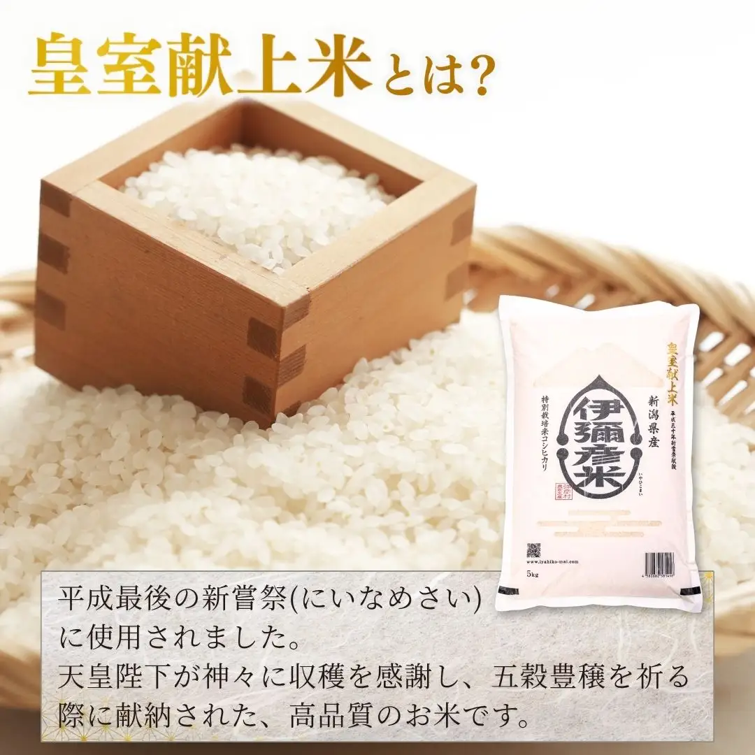 【2027年1月発送】令和8年産 伊彌彦米 10kg(5kg×2袋) 新潟県産コシヒカリ 精米