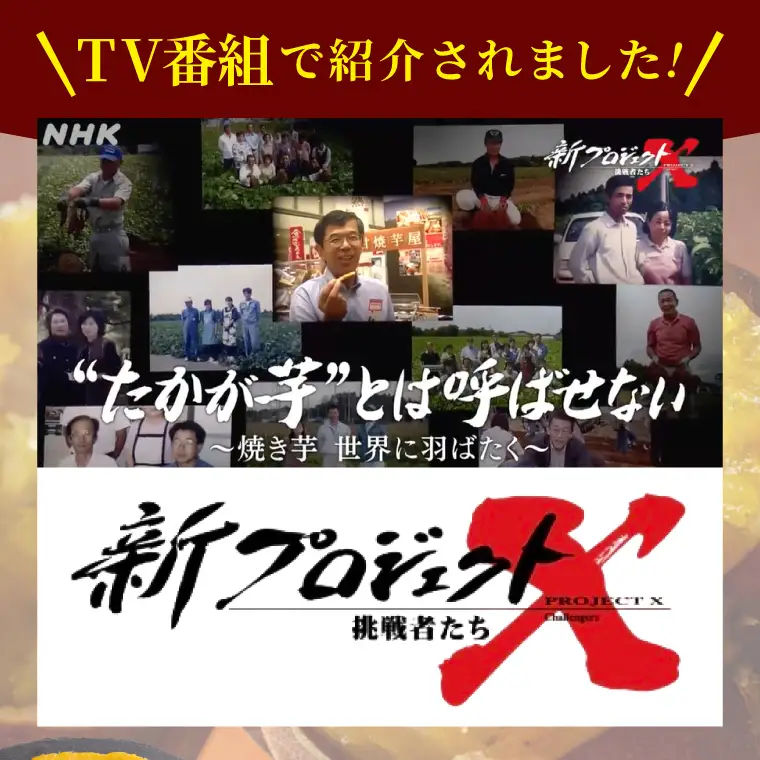 【新プロジェクトX放送～行方かんしょ～】 （冷凍焼き芋4種×2本・平干し芋300ｇ各種1袋セット）|茨城県 行方市 ふるさと納税 冷凍焼き芋 やきいも 平干し芋 ほしいも 紅はるか 紅優甘 紅まさり ひめあやか 紫福（AE-160）