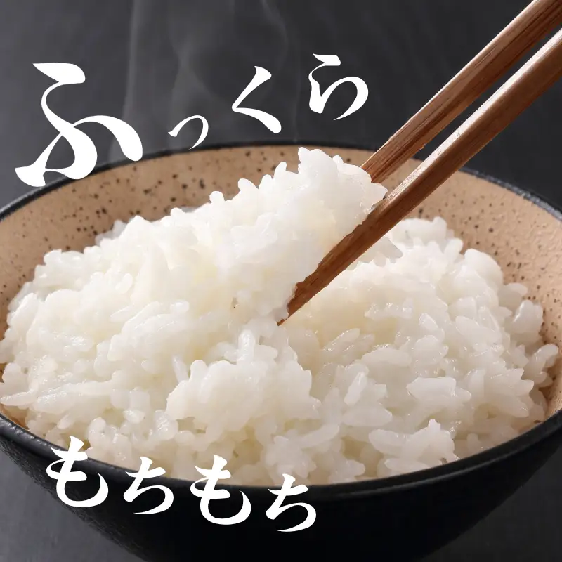 【令和8年産】 新米 米 定期便 あいさい米10kg×3回定期便 計30kg  ご飯 小松島市