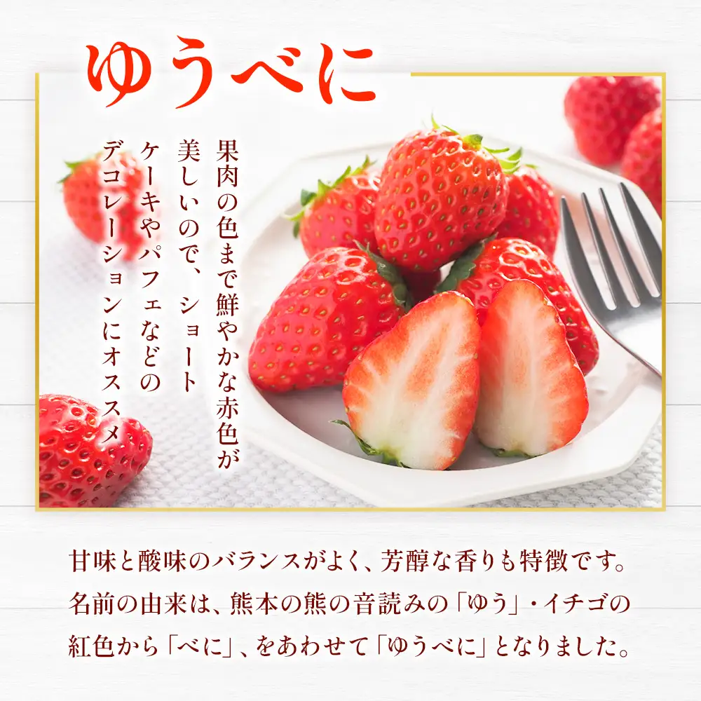 ゆうべに ・ 恋みのり 食べ比べセット 約1kg いちご イチゴ 苺 熊本県 熊本市 果物 くだもの 果実 デザート フルーツ 【 2027年1月上旬 ～ 3月下旬迄発送予定 】