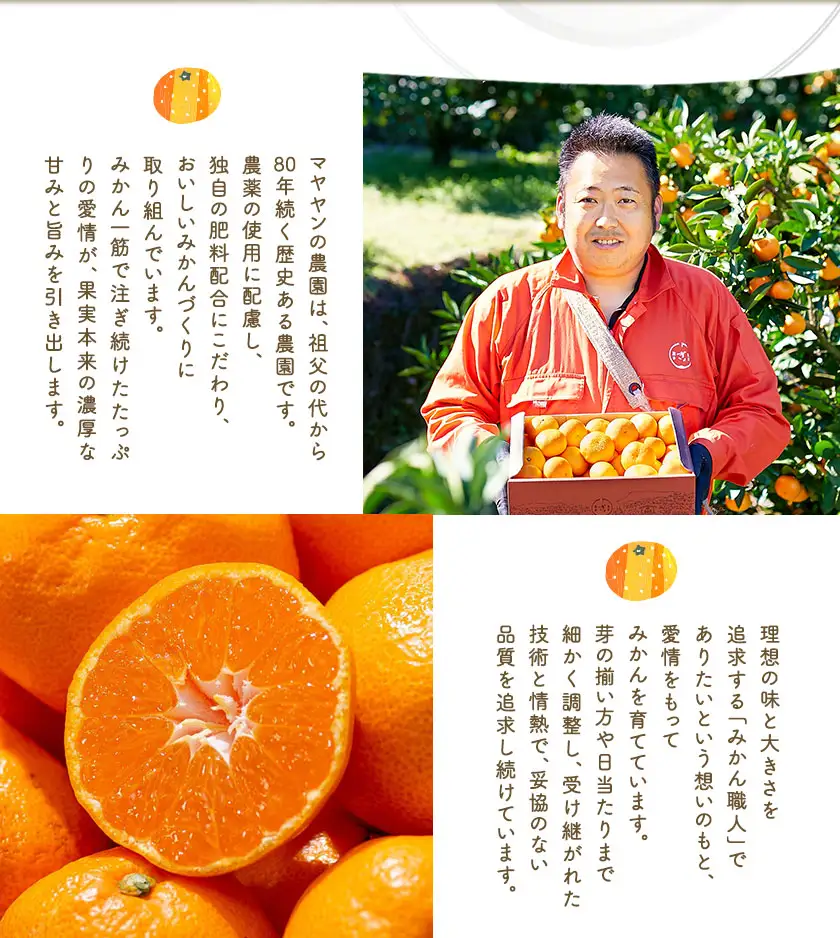 ぎょくだんマヤヤンのみかん 約5kg ぷらっとぎょくとう 《11月中旬-12月中旬頃出荷》