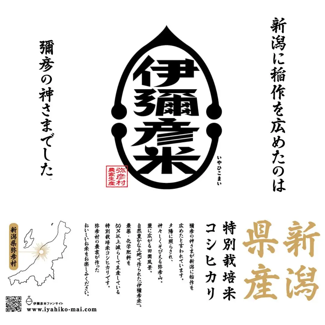 コシヒカリ 無洗米 10kg 伊彌彦米 | コシヒカリ 新潟県 2018年新嘗祭献上 令和8年産