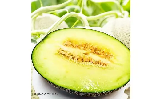 肥後グリーンメロン 4 ? 6玉 L以上 （ 約7kg ） メロン めろん グリーンメロン 青肉メロン 果物 くだもの フルーツ 果実 果肉 果汁 甘み 国産 熊本県産 【 2027年5月上旬～7月下旬発送予定 】