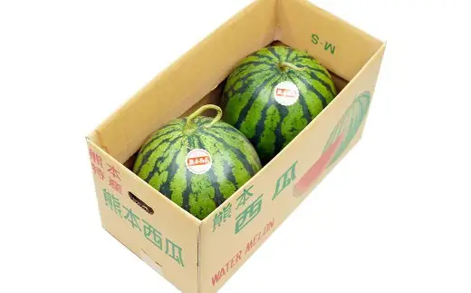 大玉すいか 1玉入り L以上 約5kg スイカ すいか 西瓜 熊本すいか 大玉 果物 くだもの フルーツ プレミアムフルーツ 果肉 果汁 甘み 旬の果物 国産 熊本県産 【 2027年5月上旬～6月下旬発送予定 】