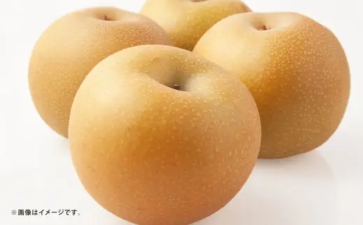 【 3ヶ月定期便 】 梨の定期便 5 ～ 7玉 約1.8kg （ 豊水 → 秋月 → 新高 ）  梨 ナシ なし 果物 くだもの フルーツ 果実 果汁 果肉 甘み ジューシー 旬の果物 国産 熊本県産 定期 定期配送 【 2027年8月上旬～10月上旬発送予定 】