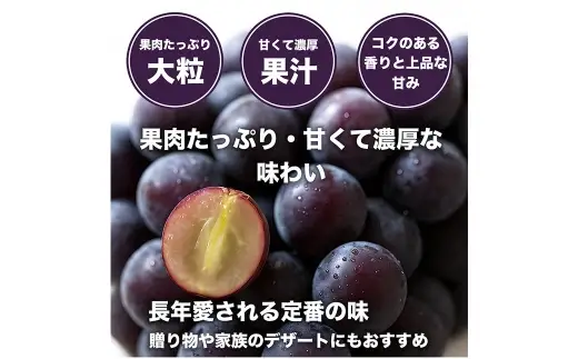 巨峰 ぶどう 4パック 約1.2kg ブドウ 葡萄 高級ぶどう 高級 ぶどうの王様 大粒 果物 くだもの フルーツ 果実 果汁 果肉 甘み ジューシー 旬の果物 国産 熊本県産 【 2027年7月下旬～2027年8月下旬順次発送予定 】