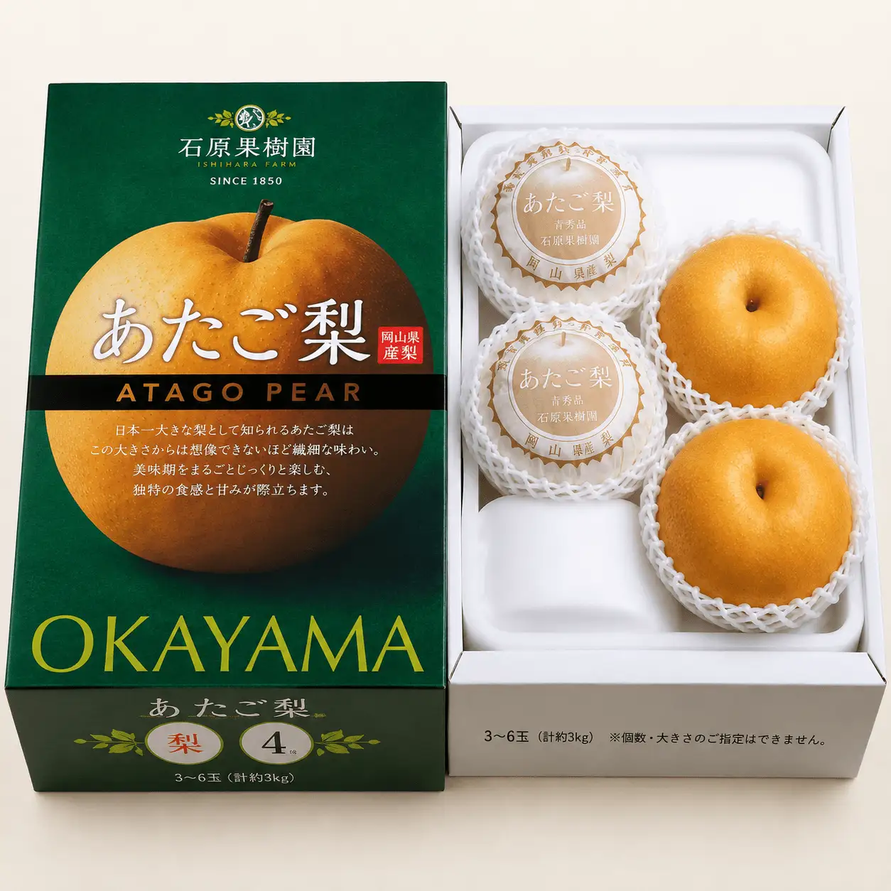 梨 あたご梨 3kg 3-6玉 化粧贈答箱 岡山県産 愛宕梨【ishk011-01】