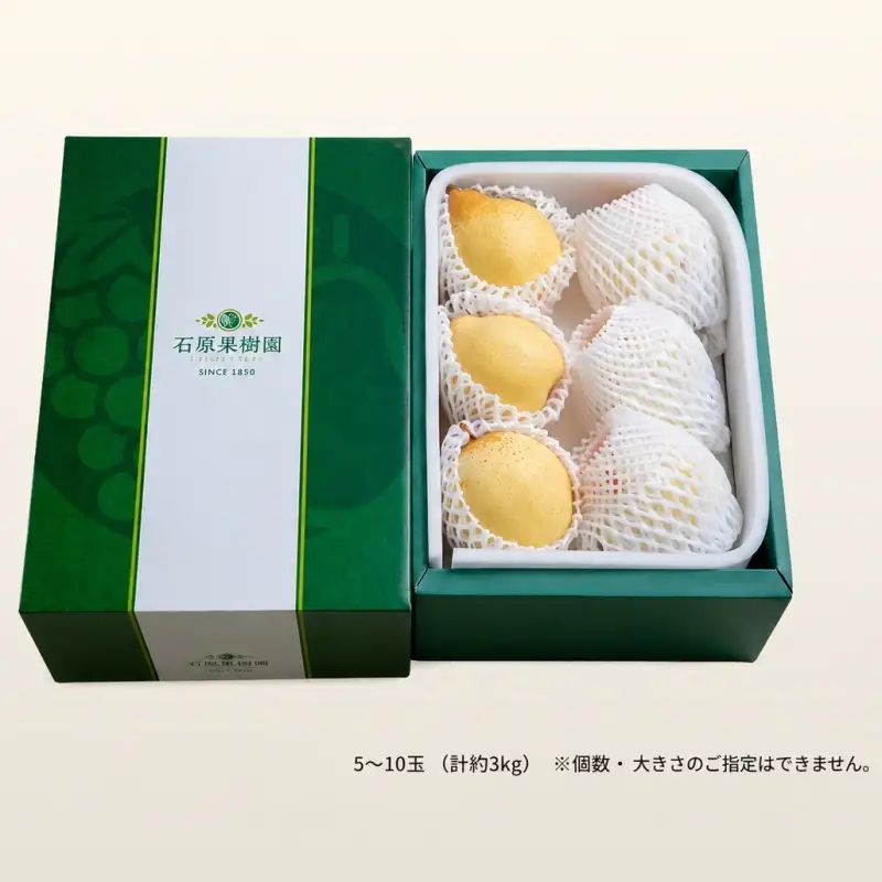 梨 ヤーリー梨 鴨梨 5～10玉 3kg 贈答箱 岡山県産 【ishk016-01】