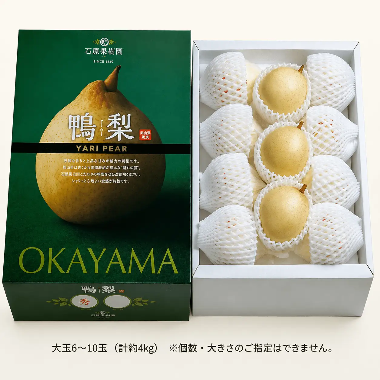梨 ヤーリー梨 鴨梨 大玉6～10玉 4kg 化粧贈答箱 岡山県産【ishk017-01】