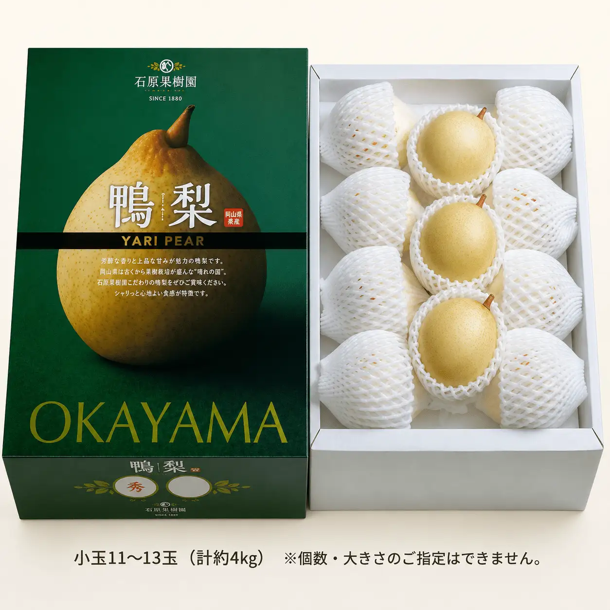 梨 ヤーリー梨 鴨梨 小玉11～13玉 4kg 化粧贈答箱 岡山県産【ishk018-01】