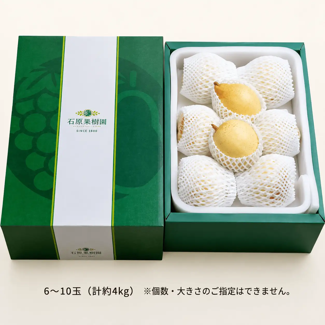 梨 ヤーリー梨 鴨梨 6～10玉 4kg 贈答箱 岡山県産 【ishk019-01】